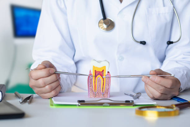 Best Emergency Root Canal Treatment in Wilmore, KY